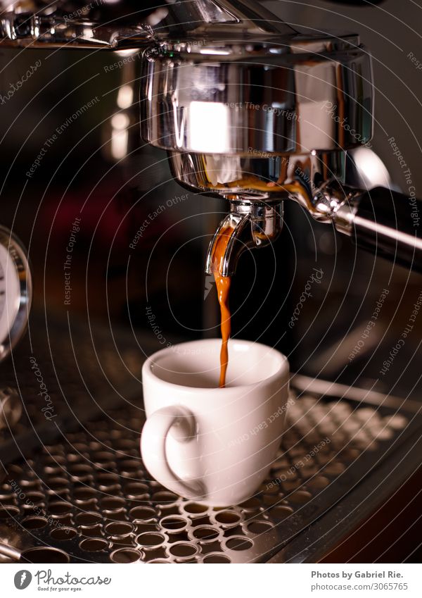 Espresso aus der Siebträgermaschine Dessert Kaffee Kaffeetasse Kaffeetrinken Kaffeepause Kaffeebohnen Kaffeemaschine Espressomaschine Italienische Küche Getränk