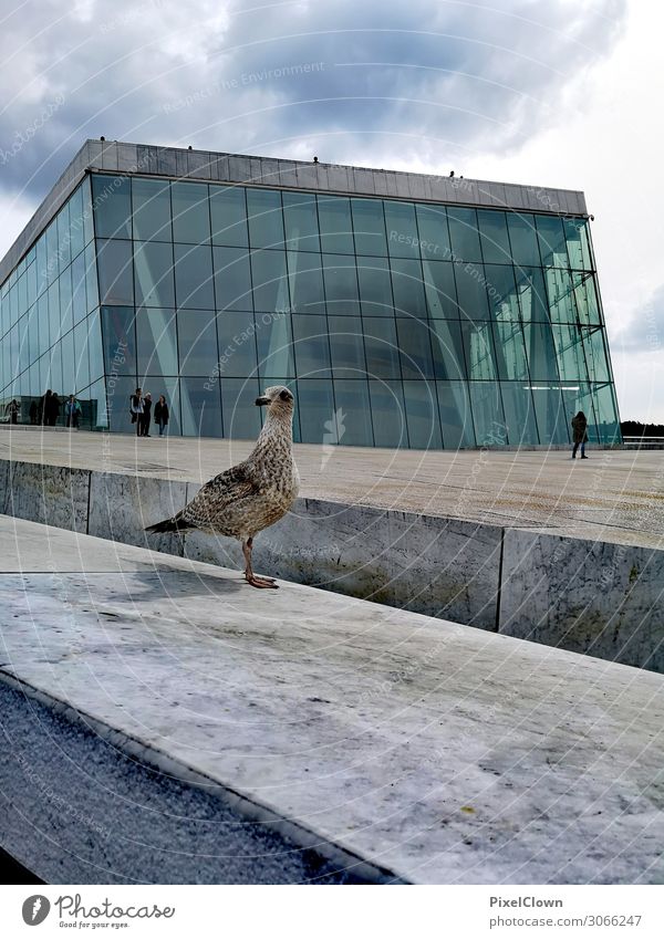 Oslo Lifestyle Ferien & Urlaub & Reisen Tourismus Abenteuer Sightseeing Städtereise Häusliches Leben Kunst Architektur Kultur Hauptstadt Bauwerk Gebäude Mauer