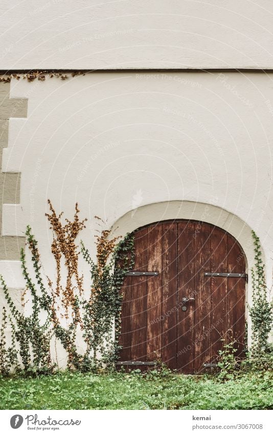 Tor Pflanze Efeu Mauer Wand Fassade Tür Holztor Wachstum authentisch rund schön braun grün weiß geschlossen Farbfoto Gedeckte Farben Außenaufnahme Menschenleer