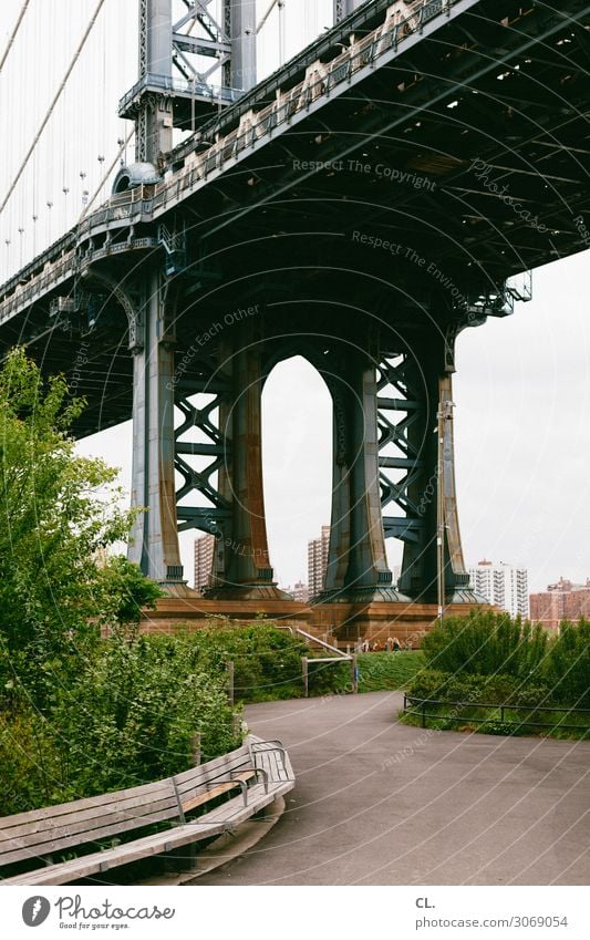 brooklyn Städtereise Sträucher Park New York City Brooklyn Brooklyn Bridge USA Stadt Menschenleer Brücke Bauwerk Architektur Sehenswürdigkeit Wahrzeichen