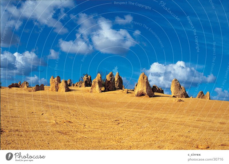 Pinnacles Nambung National Park Australien West Australien Sand versteinert