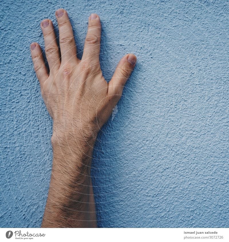 Mann Hand auf der blauen Wand auf der Straße Finger Handfläche Körper Handgelenk Arme Haut Mensch gestikulieren Entwurf Symbole & Metaphern Außenaufnahme