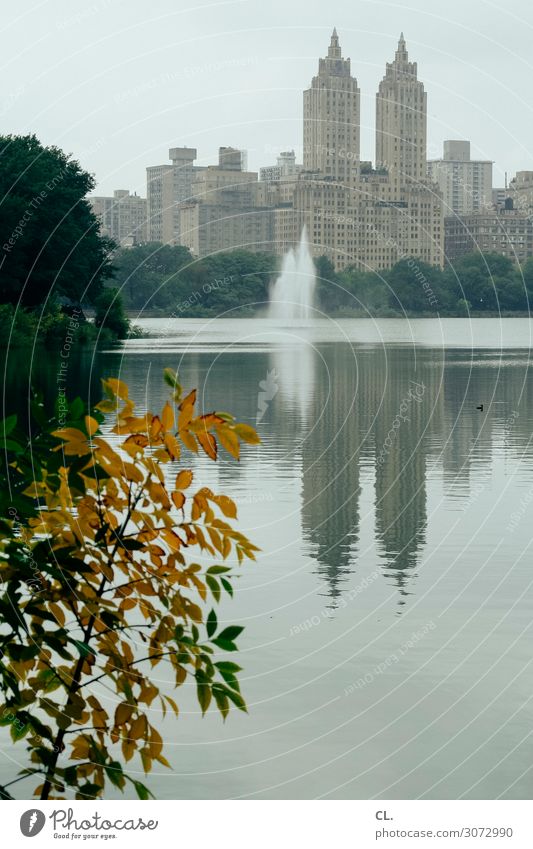 im central park Ferien & Urlaub & Reisen Tourismus Städtereise Umwelt Natur Wasser Himmel Herbst Baum Sträucher Blatt Park See Central Park Manhattan
