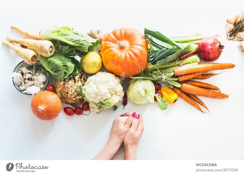 Frauenhände, Katze und bio Gemüse Lebensmittel kaufen Design Gesunde Ernährung Restaurant Mensch feminin Erwachsene Hand Hintergrundbild Blog Kürbis Bioprodukte