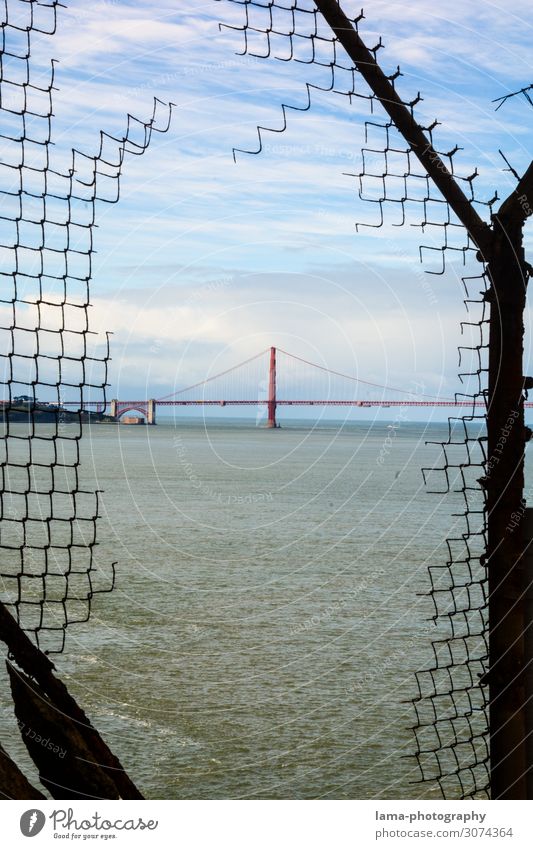 Blick in die Freiheit Ferien & Urlaub & Reisen Meer Küste San Francisco San Francisco Bay Kalifornien USA Amerika Brücke Bauwerk Architektur