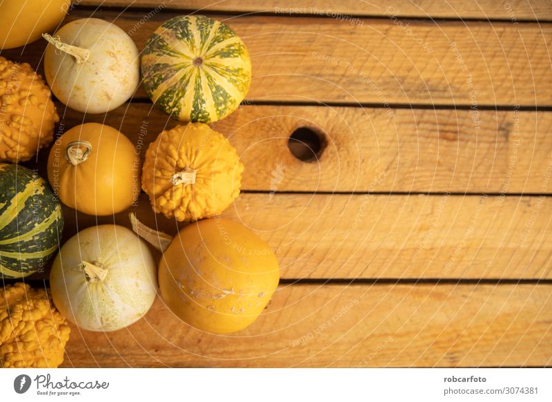 Kürbisse ideal für Halloween Gemüse Frucht Garten Dekoration & Verzierung Landschaft Herbst frisch gelb fallen orange Ernte Gesundheit Lebensmittel organisch