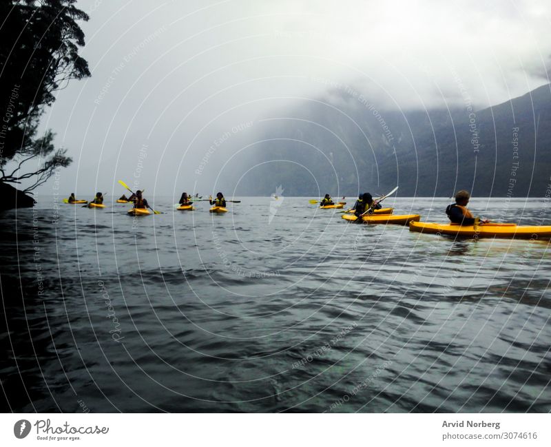 Mehrere junge Leute in gelben Kajaks in Milford Sound, Neuseeland, während eines nebligen Tages Aktion aktiv Aktivität Abenteuer schön Boot Spaß grau