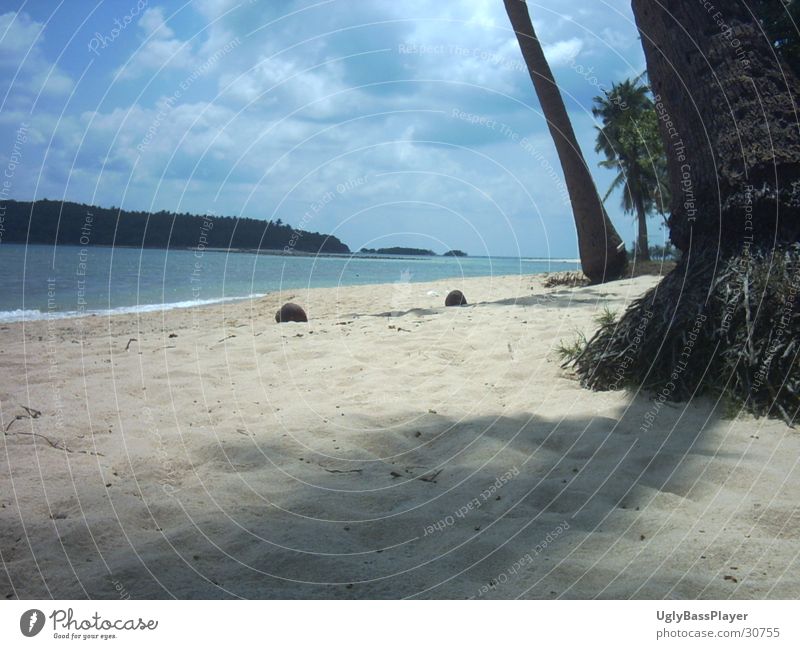 Strand Palme Kokosnuss Meer Wolken Sand Wasser blau Schatten