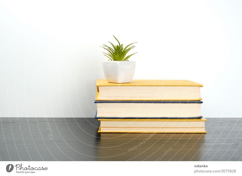 Bücher auf einen schwarzen Tisch stapeln, darauf einen Keramiktopf. Topf lesen Wissenschaften Schule lernen Klassenraum Studium Business Buch Bibliothek Pflanze