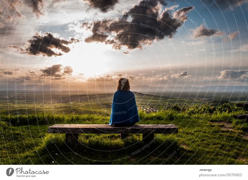 Pause Bank Aussicht sitzen Erholung Schönes Wetter Sommer Landschaft Junge Frau Mensch Sonnenlicht Gefühle Wolken Himmel Natur Decke Erinnerung Hoffnung ruhig