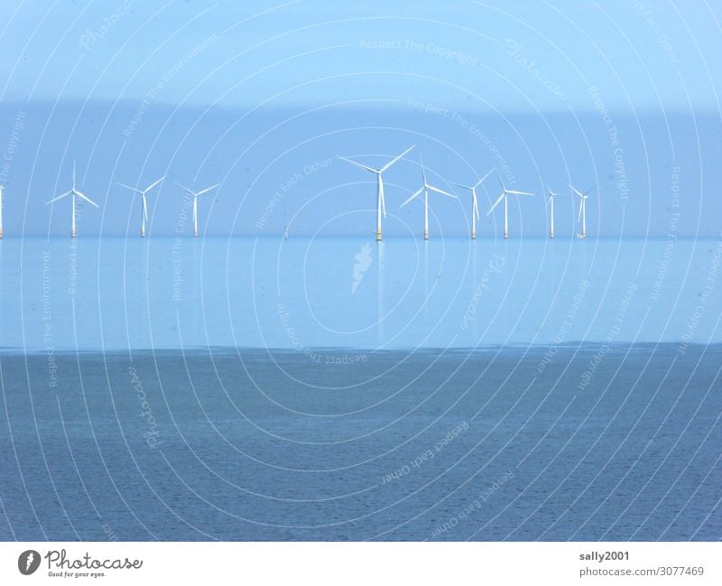 die Kraft des Windes... Windkraft offshore Windrad offshore-windpark Elektrizität Energie nachhaltig Windkraftanlage Erneuerbare Energie Energiewirtschaft