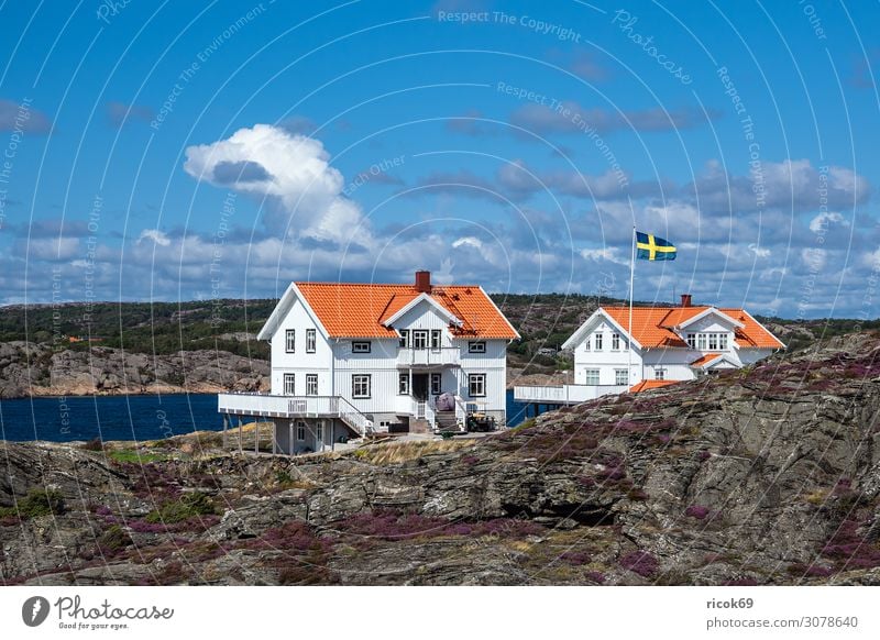 Blick auf die Insel Dyrön in Schweden Erholung Ferien & Urlaub & Reisen Tourismus Sommer Meer Haus Natur Landschaft Wasser Wolken Felsen Küste Nordsee Dorf
