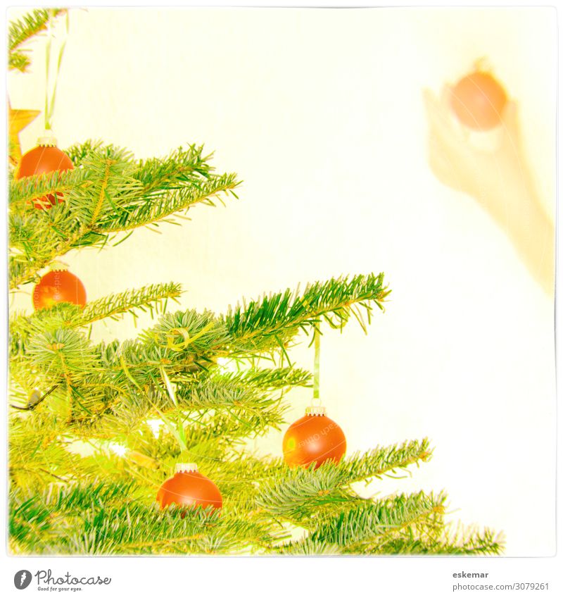 Christbaum schmücken Dekoration & Verzierung Weihnachten & Advent Weihnachtsbaum Kugel Christbaumkugel Weihnachtskugel Mensch feminin Junge Frau Jugendliche