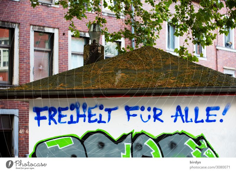 Freiheit Baum Ast Stadt Haus Fassade Dach Zeichen Schriftzeichen Graffiti authentisch positiv rebellisch blau grün rot weiß Gefühle Begeisterung Menschlichkeit
