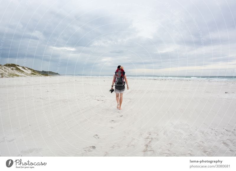 Menschenleer am Meer Neuseeland Strand Sand Sandstrand Sonnenschein Badeurlaub Badewetter Sommerurlaub Ferien & Urlaub & Reisen Erholung Natur Schönes Wetter