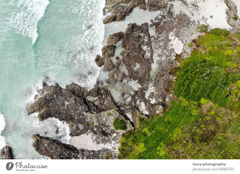 Wilde Küste Wellen Meer Neuseeland wild Wildnis Luftaufnahme Drohnenaufnahme Felsen Vegetation Elemente Brandung Wasser Natur Gischt Urelemente abstrakt
