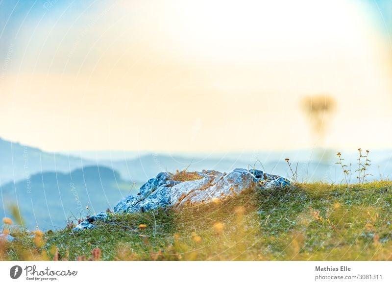 Fels im Sonnenlicht Ausflug Abenteuer Ferne Freiheit Sommerurlaub Berge u. Gebirge wandern Landschaft Sonnenaufgang Sonnenuntergang Gras Sträucher Wiese Hügel