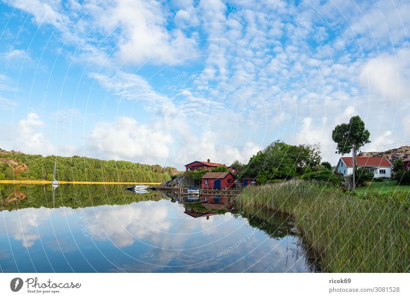 Spiegelung im Wasser in Nösund auf der Insel Orust in Schweden Erholung Ferien & Urlaub & Reisen Tourismus Sommer Meer Haus Natur Landschaft Wolken Baum Küste