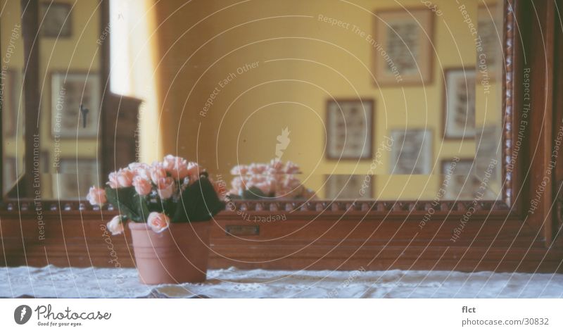 Der Spiegel Blumentopf Toskana Rose antik Ambiente Häusliches Leben Bild Facetten Perspektive