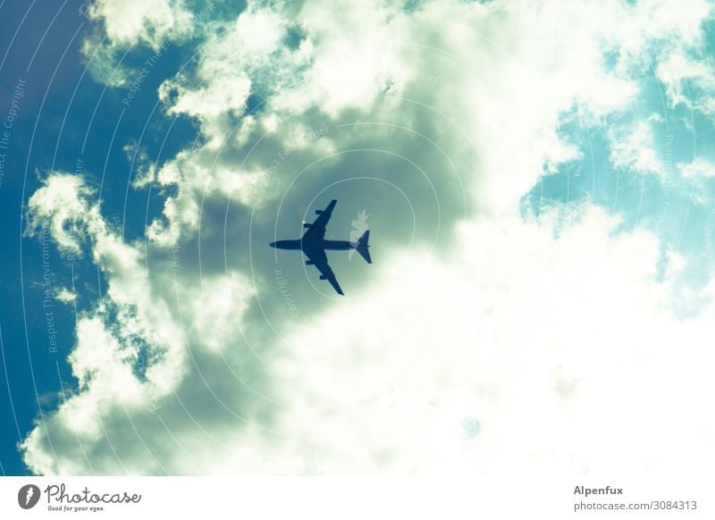 Flugcharme Klima Klimawandel Luftverkehr Flugzeug Passagierflugzeug fliegen Höhenangst Flugangst Angst Bewegung Endzeitstimmung Energie Ferien & Urlaub & Reisen