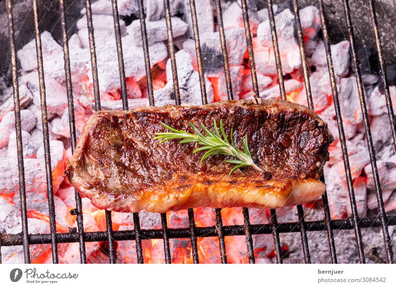 Steak vom Grill Fleisch Natur Wärme Holz Rost heiß rot schwarz authentisch Rindersteak Rindfleisch Rosmarin Holzkohle Feuerstelle Flamme grillen Grillrost Kohle