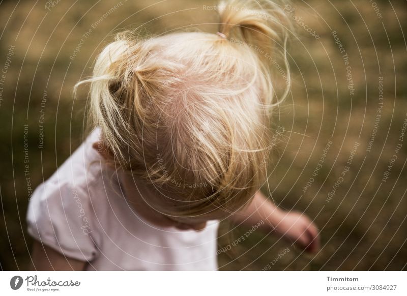 wertvoll | Mensch und Natur (2) Kleinkind Kopf Haare & Frisuren 1 Umwelt Gras Wiese Bewegung Fröhlichkeit Gesundheit natürlich Gefühle Freude Lebensfreude