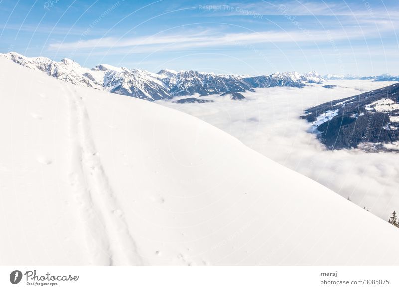 Spuren Natur Landschaft Schönes Wetter Eis Frost Schnee Alpen Berge u. Gebirge Schlucht Ennstal Ennstaler Alpen außergewöhnlich Zusammensein Unendlichkeit kalt