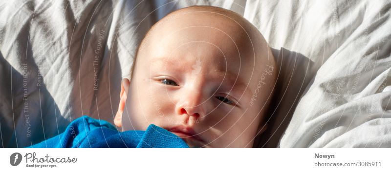 Muedes Baby schaut kritisch Kopf 1 Mensch 0-12 Monate klein natürlich blau weiß Geborgenheit friedlich Gelassenheit träumen Müdigkeit Beginn entdecken