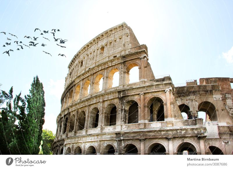 Nahaufnahme des Römischen Kolosseums in Rom, Italien Ferien & Urlaub & Reisen Stadion Theater Kultur Himmel Ruine Gebäude Architektur Denkmal Stein alt