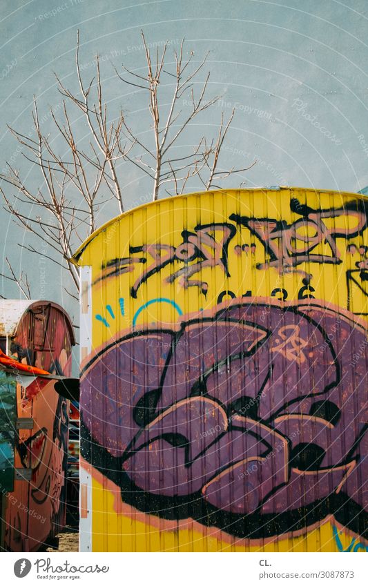 container love Baum Menschenleer Mauer Wand Container Bauwagen Graffiti dreckig authentisch Stadt mehrfarbig Inspiration Kreativität Verfall Farbfoto