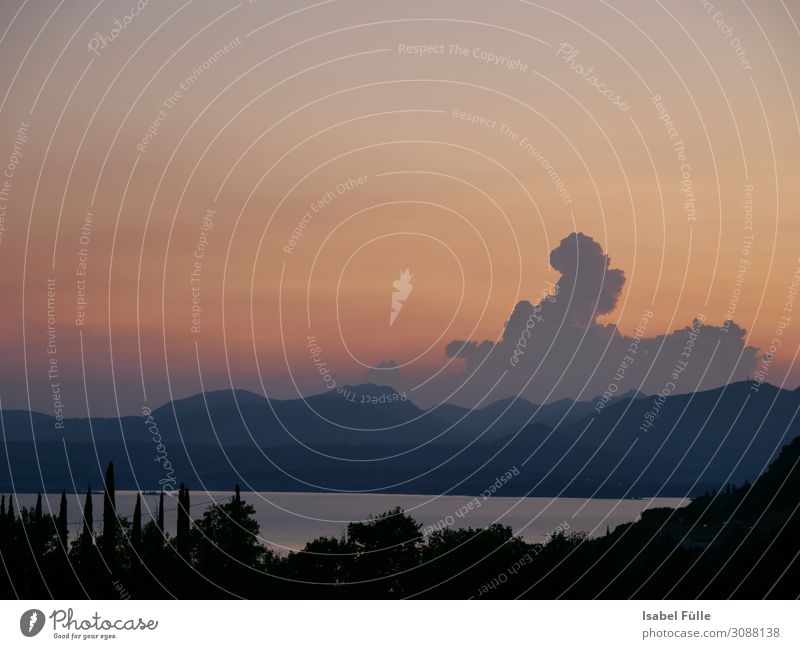 Sonnenuntergang in Bardolino / Gardasee Landschaft Himmel Sonnenaufgang Schönes Wetter Baum Hügel Berge u. Gebirge Dolomiten Küste See Erholung Abend