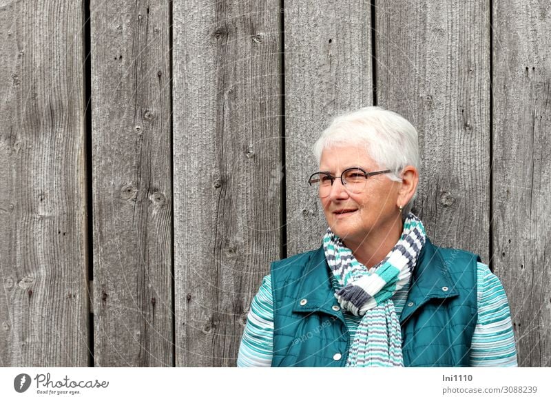 Seniorin lächelt freundlich feminin Weiblicher Senior Frau Leben Kopf Haare & Frisuren 1 Mensch 60 und älter Holzwand Ohrringe Brille grauhaarig weißhaarig
