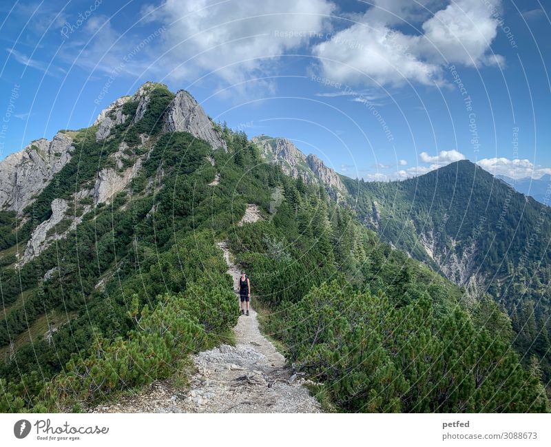 Kammwanderung Berge u. Gebirge wandern 1 Mensch Landschaft Himmel Sommer Schönes Wetter Kalkalpen Gipfel gigantisch Unendlichkeit hoch oben blau grau grün