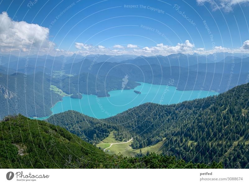 Fernsicht Landschaft Wasser Himmel Wolken Sommer Wald Berge u. Gebirge Alpen Gipfel See Walchensee Ferne gigantisch groß Unendlichkeit hoch blau grün weiß