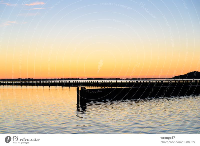 Sonnenuntergang am Ribnitzer See Luft Wasser Himmel Sonnenaufgang Sommer Schönes Wetter Seeufer Bucht Ostsee Hafen maritim blau gelb gold schwarz Stimmung