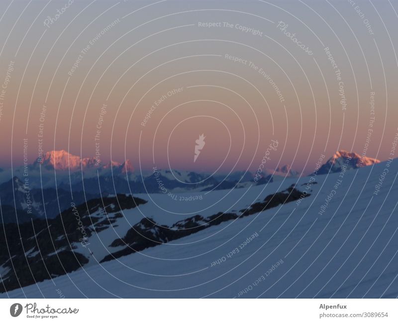 Sonnenaufgang Mont Blanc Felsen Alpen Berge u. Gebirge Gipfel Schneebedeckte Gipfel Gletscher Glück Zufriedenheit Lebensfreude Begeisterung Euphorie