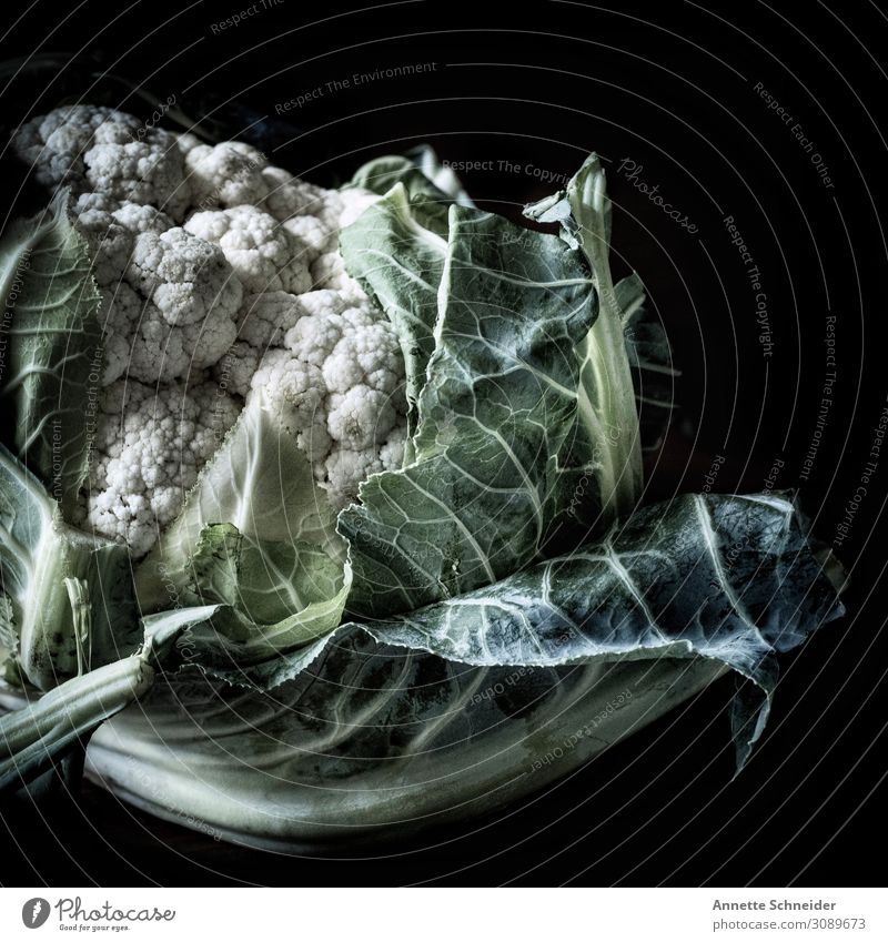Blumenkohl Lebensmittel Gemüse Salat Salatbeilage Ernährung Bioprodukte Slowfood Pflanze Blatt Gesundheit natürlich grün weiß Innenaufnahme Porträt
