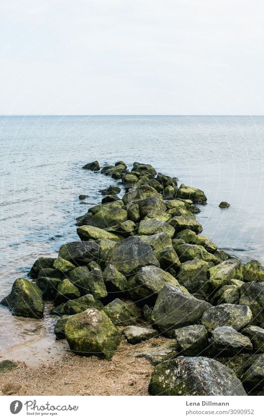 Timmendorferstrand #3 Timmendorfer Strand wasser klares wasser algen steine trist ausblick horizont sand Norddeutschland Ostsee ostseeküste Ostseestrand natur