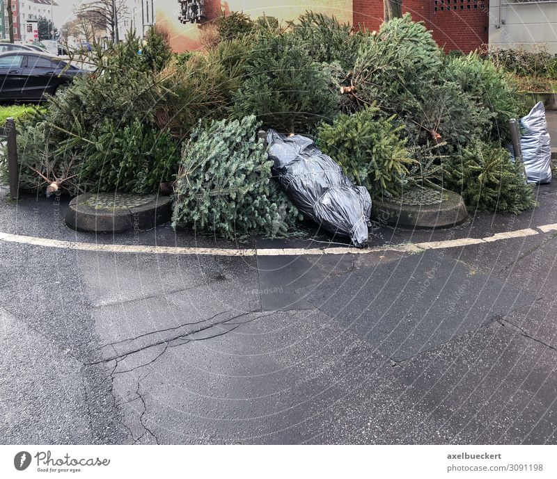 weggeworfene Tannenbäume am Straßenrand Lifestyle Winter Weihnachten & Advent Silvester u. Neujahr Baum Stadt authentisch Deutschland Recycling Januar