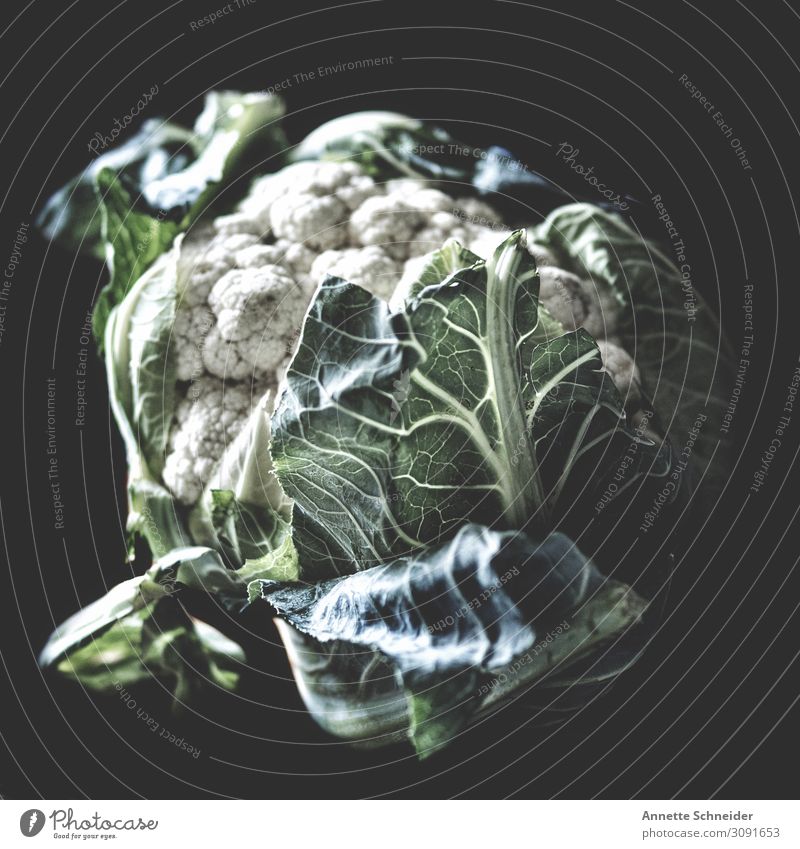Blumenkohl Lebensmittel Gemüse Salat Salatbeilage Ernährung Bioprodukte Slowfood Pflanze Blatt grau grün weiß Farbfoto Innenaufnahme Studioaufnahme Freisteller