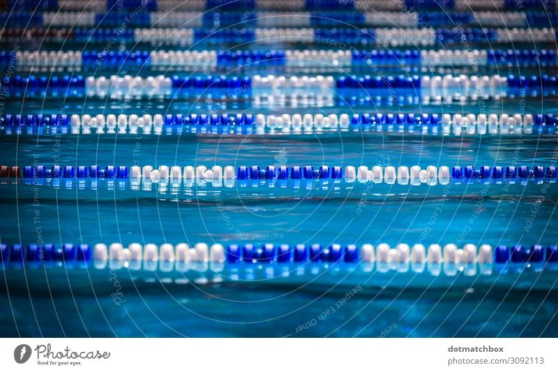 Liquid lines Freizeit & Hobby Ferien & Urlaub & Reisen Sport Wassersport Schwimmen & Baden Sportstätten Schwimmbad Sommer Schönes Wetter Menschenleer nass blau
