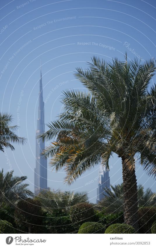 Scheinriese Dubai Vereinigte Arabische Emirate VAR Weltausstellung 2022 Burj Khalifa Hochhaus Architektur Tourismus Geld Wirtschaft Palme Garten