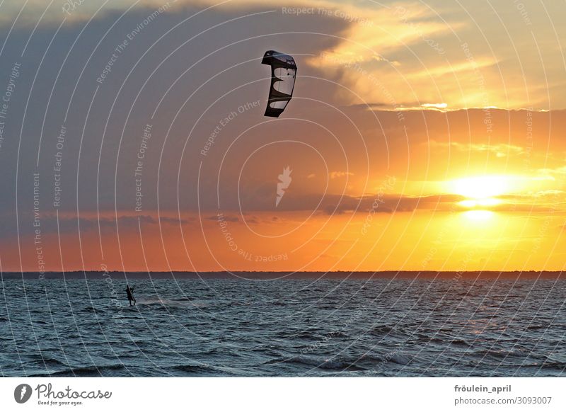 Sonne Wind Meer Mensch Freude Freizeit & Hobby Sport Wassersport Surfen Surfer Kiting Kiter 1 Sommer Schönes Wetter Wellen Küste frei sportlich blau gelb orange