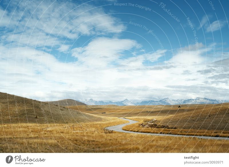 mt. cook national park Umwelt Natur Landschaft Pflanze Tier Himmel Wolken Klima Gras Sträucher Moos Berge u. Gebirge Gipfel Schneebedeckte Gipfel Gletscher
