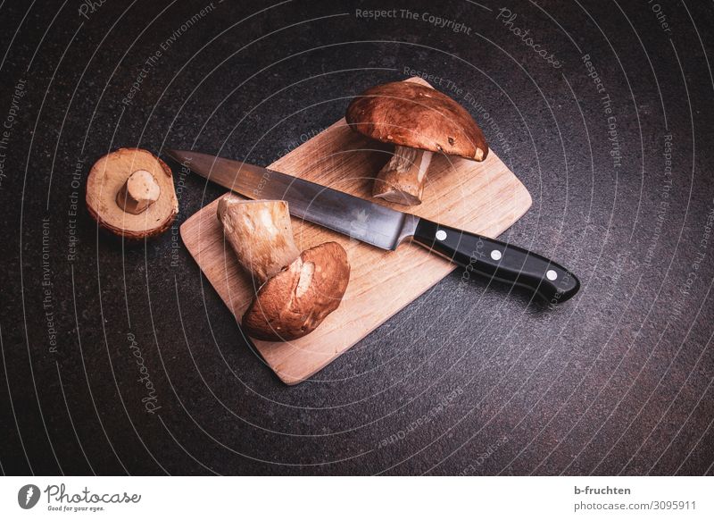 Steinpilze Lebensmittel Ernährung Vegetarische Ernährung Küche Arbeit & Erwerbstätigkeit wählen Essen dunkel frisch genießen Pilz Sammlung Messer Schneidebrett