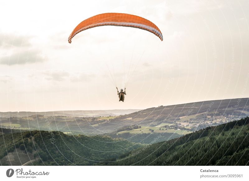 Ein Paraglider gleitet still über die hügelige Landschaft Freizeit & Hobby Sport Gleitschirmfliegen androgyn 1 Mensch Natur Himmel Wolken Horizont Sommer