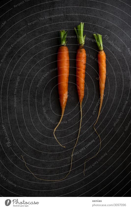 Drei Möhren Lebensmittel Gemüse Bioprodukte Vegetarische Ernährung Diät frisch Gesundheit grün orange schwarz 3 Foodfotografie Farbfoto Studioaufnahme