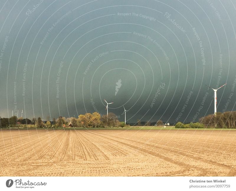 aufziehendes Unwetter über einem Getreidefeld mit Windkraftanlagen Umwelt Natur Landschaft Himmel Wolken Gewitterwolken Horizont Wetter Baum Windrad bedrohlich