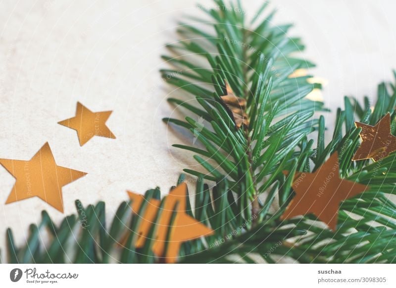 weihnachtliches dekozeugs Weihnachten & Advent Tannenzweig Tannennadel Stern (Symbol) Sterne Weihnachtsdekoration Dekoration & Verzierung Postkarte