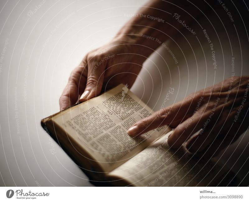 Finger einer Hand ruht auf einer Textstelle der Bibel lesen Buch Geschichte Heilige Schrift Zeigefinger Gott Glaube & Religion Kapitel Hände weiblich Wissen